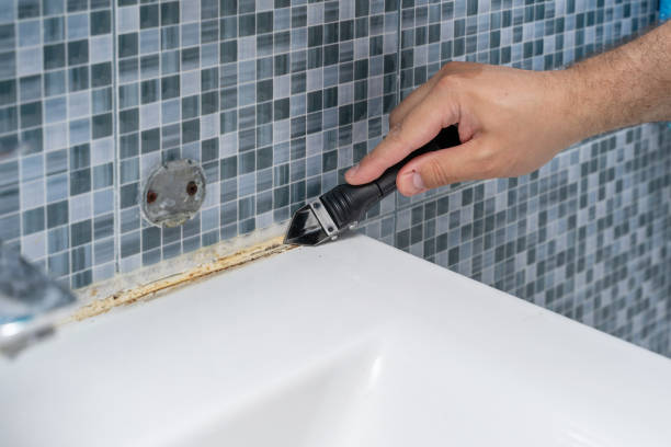 Best Mold Remediation for Specific Building Types in Village Of Four Seasons, MO